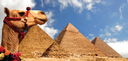 Egyptian Explorer | Egypt Holiday | Egypt Tours | Family Holidays | Family Tours | Egypt